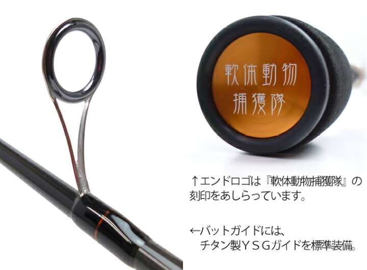 楽天市場】カンジ クリックス CN-80 proximity [10周年記念限定モデル 