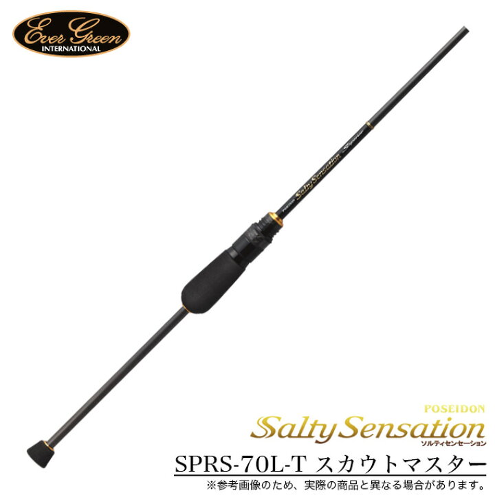 楽天市場】(5)エバーグリーン ソルティーセンセーション SPRS-70L-T 