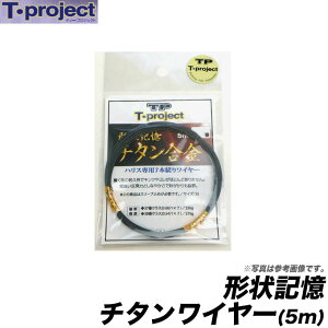 (c)y񂹏iz T-project `L`^C[(38)(5m)/`^/Α/CV_C/d|/eB[v/eB[vWFNg y01z