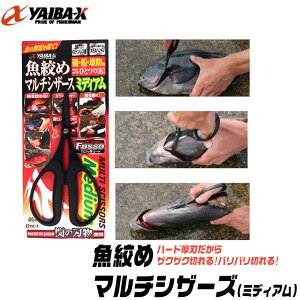 (5)ߐj Co i߃}`VU[Xi~fBAjyiԁFYSC-4z/͂/nT~/i߂/tBbVOANZT[Y y01z