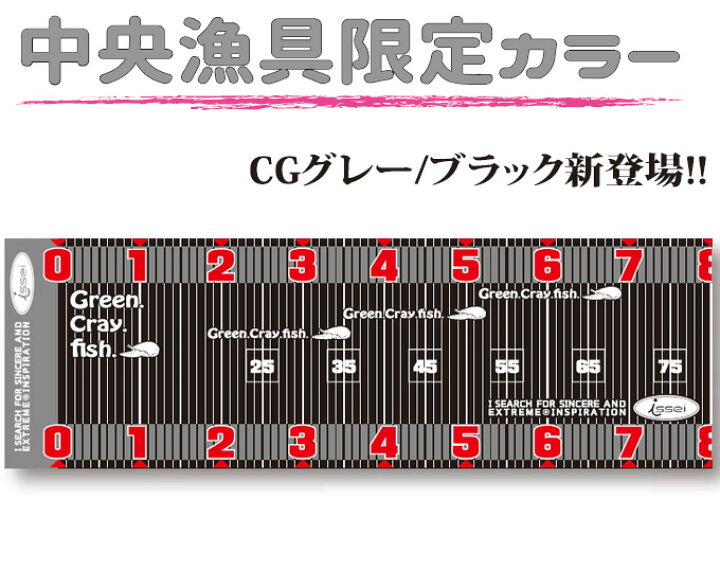 楽天市場】(5)一誠 幅広スケール/HA-BA-HI-RO SCALE/メジャー/issei 