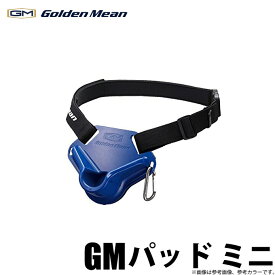(c)【取り寄せ商品】 ゴールデンミーン GMパッド ミニ / ファイティングベルト / サポートパッド Golden Mean