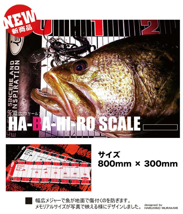 楽天市場】(5)一誠 幅広スケール/HA-BA-HI-RO SCALE/メジャー/issei 