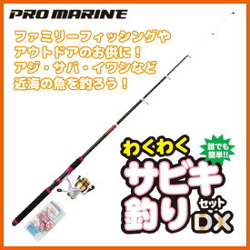 (5)プロマリン わくわくサビキ釣りセットDX 270 [270cm] (ロッド・リール・サビキ仕掛けセット)