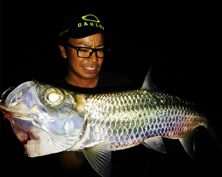 楽天市場】(5)ホッツ Fishing Gang FIDELITY AZUSA 70L (ライトゲーム 