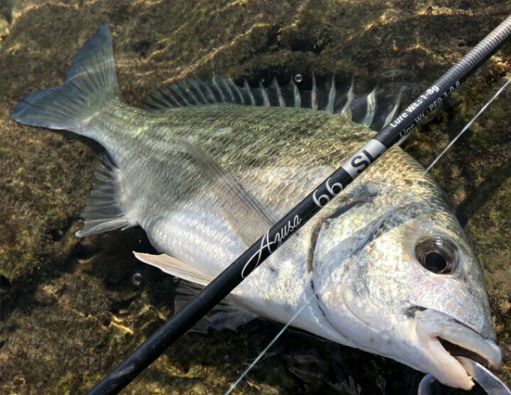楽天市場】(5)ホッツ Fishing Gang FIDELITY AZUSA 70L (ライトゲーム 
