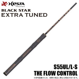 (5) �[�X�^ �u���b�N�X�^�[ �G�N�X�g���`���[���h (S55UL/L-S) THE FLOW CONTROL (�ފƁE���b�h) /XESTA �y��03�z