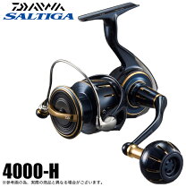 楽天市場】ソルティガ 4000hの通販