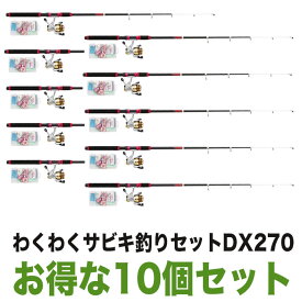 (5)【目玉商品】プロマリン わくわくサビキ釣りセットDX270（お得な10個セット）