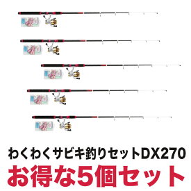 (5)【目玉商品】プロマリン わくわくサビキ釣りセットDX270（5個セット）