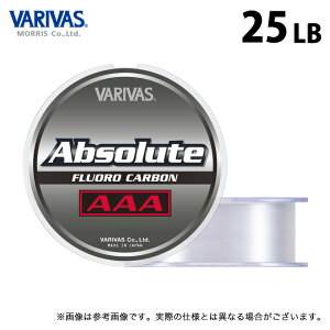 (c)y񂹏iz ooX Au\[g AAA (tJ[{) (25LB^80m) i` (ގEtJ[{C^2023Nf) /[X y01z