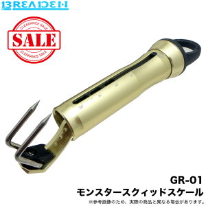 (5)u[f X^[ XNCbh XP[ GR-01 (J[FS[h) GMOMt /u[fObv y05z