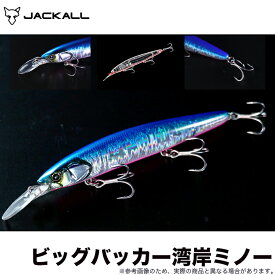 楽天市場 ジャッカル ソルトルアーの通販