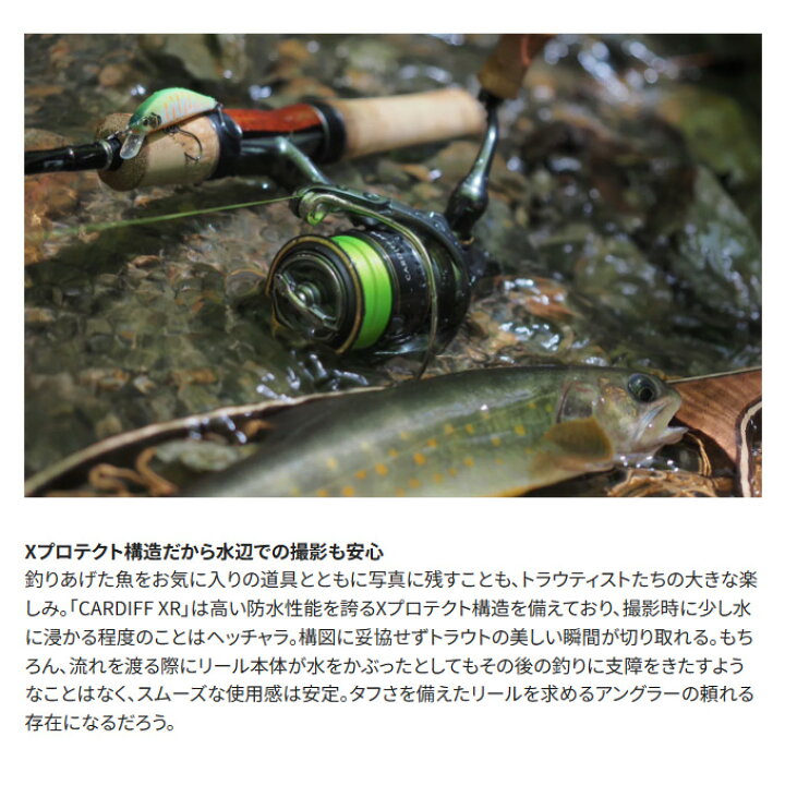 楽天市場】(5)シマノ 23 カーディフ XR C2000SHG (2023年モデル 