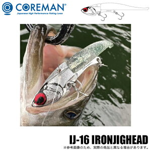 (5)RA} IJ-16 ACAWOwbh 16g (V[oXA[) \gA[ y01z