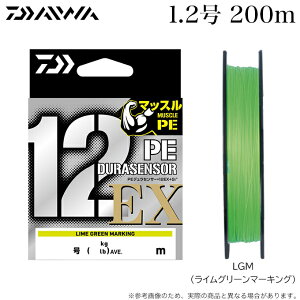 (5)_C UVF PEfZT[×12EX+Si3 (1.2 200m) J[FLGM CO[}[LO (PECj y01z