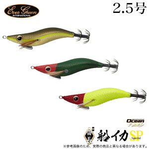 (5)Go[O[ GMԒ 2.5 DSP (CJ^ hbp[) CJ^/IO y01z