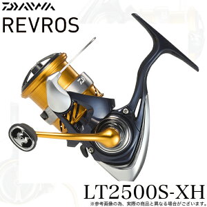 (5)_C 24 uX LT2500S-XH (2024Nf) XsjO[/ėp y01z
