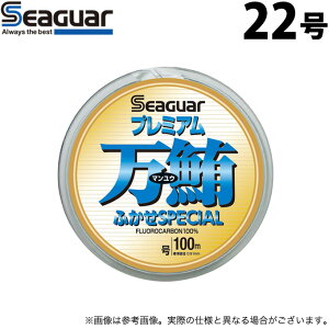 (c)y񂹏iz Nn V[K[ v~A ӂSPECIAL (22^100m) (nXEގ) /}E /SEAGUAR y01z