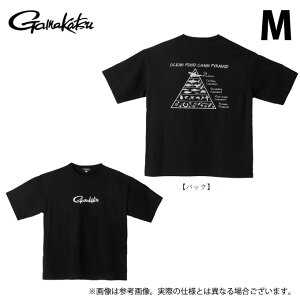 (c)y񂹏iz ܂ GM3782 (M^ubN) TVc(HA) (tBbVOEFA^2025Ntăf) /25SS y01z