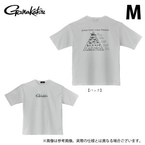 (c)y񂹏iz ܂ GM3782 (M^zCg) TVc(HA) (tBbVOEFA^2025Ntăf) /25SS y01z