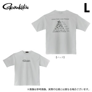 (c)y񂹏iz ܂ GM3782 (L^zCg) TVc(HA) (tBbVOEFA^2025Ntăf) /25SS y01z