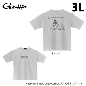 (c)y񂹏iz ܂ GM3782 (3L^zCg) TVc(HA) (tBbVOEFA^2025Ntăf) /25SS y01z