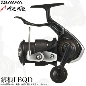 (5)_C 25 T LBQD (2025Nf) o[u[LtXsjO[/tJZނ y01z