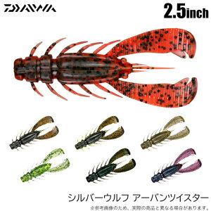 (5)_C Vo[Et A[ocCX^[ 2.5C` (`jOA[) [/2025Nf y01z