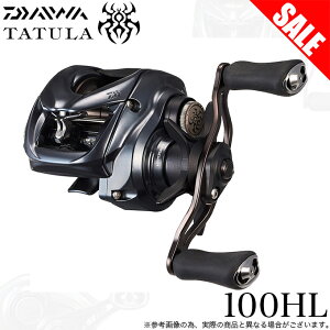 タトゥーラ TW 100(リール)｜DAIWA DAIWA タトゥーラ TW 100HL リール