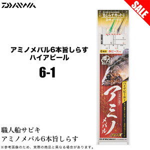 (5)yڋʏiz _C ElDTrL A~mo 6{|炷 nCAs[ (6-1) Dނd| y01z