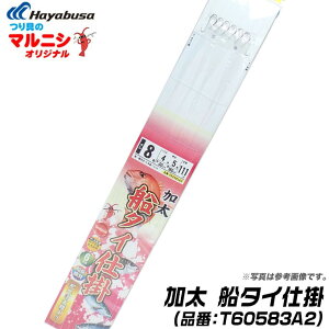 ハヤブサ 釣り仕掛け タイ サビキの人気商品 通販 価格比較 価格 Com