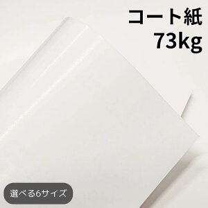 R[g 73kg(0.066mm)|cc 򂪂鎆 F OKgbvR[g+ ̑`V bg  A3 A4 B4 B5