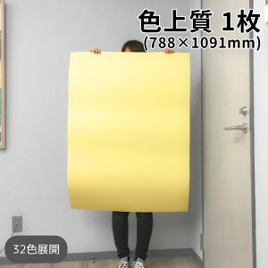 F㎿ S 788×1091mm 1|S32F1FI F 낪 p J[y[p[ J[p IBy[p[Ntg Hp ܂莆 H nEB H K[h َq