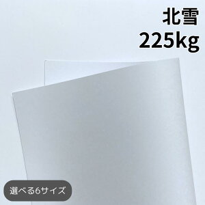 k 225kg(0.30mm) | p Pg F ^ 25`1600 A3/A4/B4TCYΉ h ҏ s@ CNWFbg [U[v^[Ή p CXg |X^[ O[eB