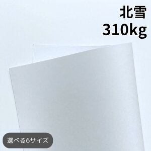k 310kg(0.41mm) | p Pg F ^ 25`1600 A3/A4/B4TCYΉ h ҏ s@ CNWFbg [U[v^[Ή p CXg |X^[ O[eB