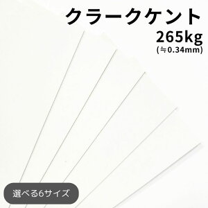 �N���[�N�P���g 265kg(��0.34mm) |��p�� �P���g�� ��� �Î��z�� ���F�x������ �Đ���