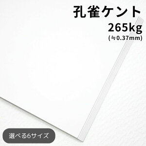 �E���P���g 265kg(��0.37mm) |��p�� �P���g�� ���