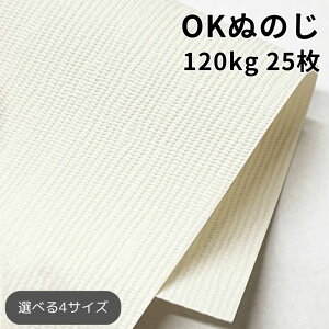 OKʂ̂ 120kg 25|t@Cy[p[ ꎆzn t@V[y[p[ ꎆ ʉ F G{X a  zn͗l