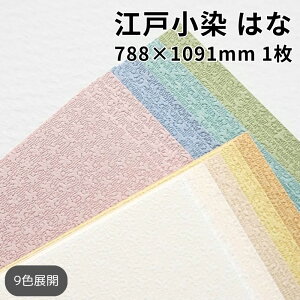 yyVX[p[SALE|Cg10{z]ˏ͂ 175kg 788×1091mm 1|S9F1FI ʐ^Be iBe wi a ԕ