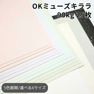 OK~[YL 90kg 25|S5F1FI  F t an pXeJ[ t@V[y[p[ uh