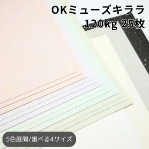 OK~[YL 120kg 25|S5F1FI  F t an pXeJ[ t@V[y[p[ uh