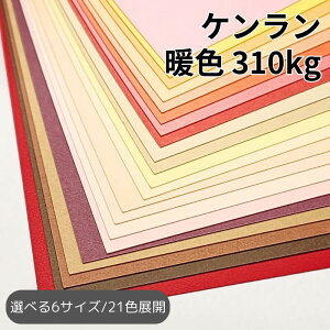 P 310kg(0.40mm) 25 S21F gFbA3EA3ChEA4EA4ChEB4EB5 S6TCYΉb J[y[p[ H h J[h s@ y[p[Ntg ANZT[ 䎆 i^O  