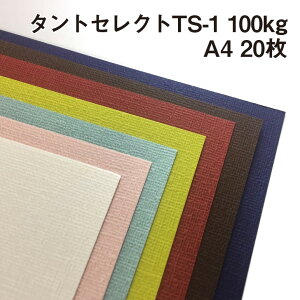 ^gZNgTS-1 100kg A4 20|S16F1FI G{X z ʃG{X K[[̗lȕz IWiubNJo[