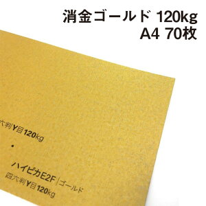  S[hnCsJ 120kg A4 70|nCsJ sJsJ }bg  p