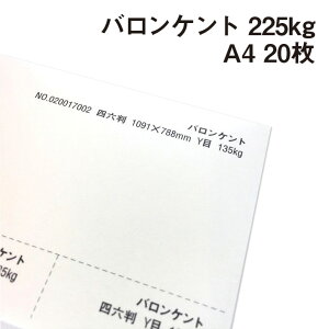 oPg 225kg A4 20|p Pg  N[n̂₳  BARONKENT