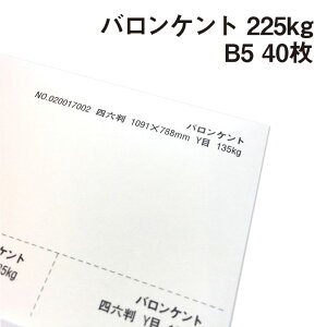 oPg 225kg B5 40|p Pg  N[n̂₳  BARONKENT