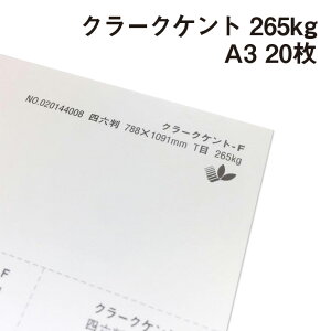 N[NPg 265kg A3 20|p Pg  Îz Fx Đ