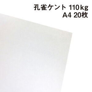 EPg 110kg A4 20|p Pg 