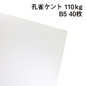 EPg 110kg B5 40|p Pg 